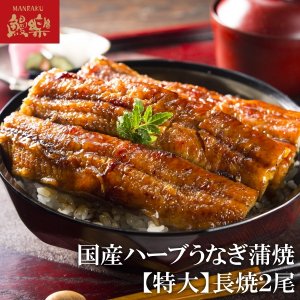 うなぎ処 鰻楽 うなぎ