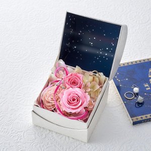 オルゴールフラワー