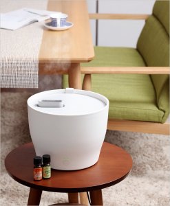 プラスマイナスゼロ（±0） 卓上加湿器