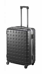 エース プロテカ（ACE Proteca）