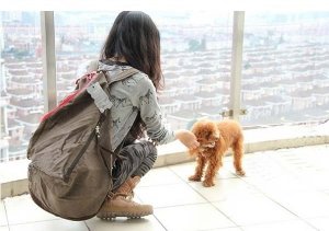 シャイニーマート（SHINY-MART） バッグ