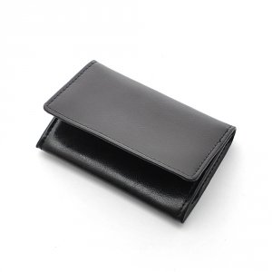 ダコタ（Dakota） パスケース