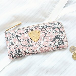 リモパイソンギャラクシー