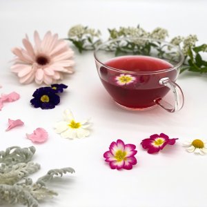 カフェインレス紅茶