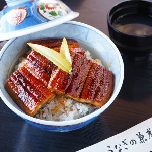 うなぎの兼光 うなぎ