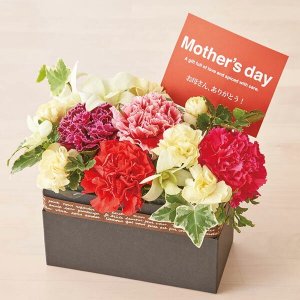 カーネーションの生花アレンジメント