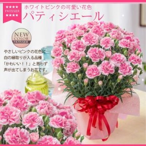 吉本花城園（YOSHIMOTO KAJYOEN）