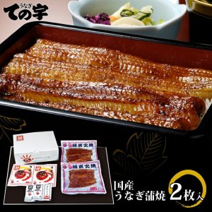 うなぎ ての字 うなぎ