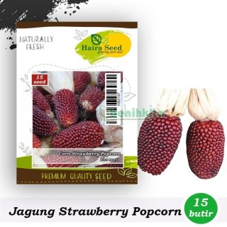 Haira Seed Benih Jagung Strawberry Popcorn