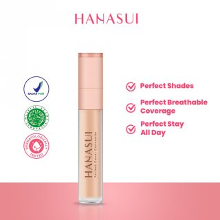 Hanasui Perfect Cover Concealer