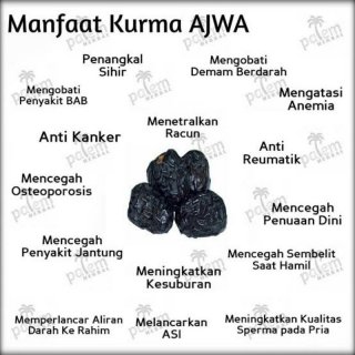 PAKET CEMILAN SEHAT IBU HAMIL dan MENYUSUI. AJWA, ALMOND, KISMIS     