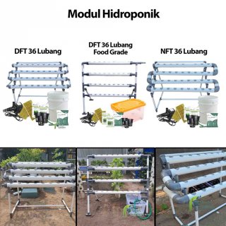 6. Paket Instalasi Modul Hidroponik DFT NFT Food Grade 36 Lubang Purie Garden