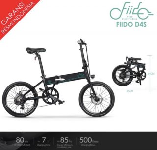 Fiido D4S Folding Electric Bike