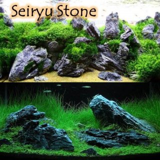 DIY Aquascape Iwagumi Menggunakan Batu Seiryu