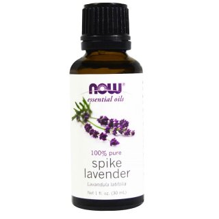 Now Spike Lavender