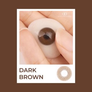 17. Naturalens Dark Brown Softlens