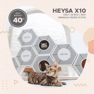 Heysa X10 