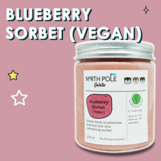 North Pole Gelato Blueberry Sorbet (Vegan) - Ice Cream
