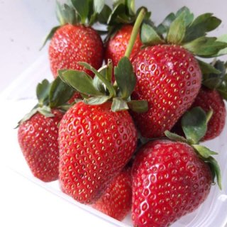 Buah Strawberry Fresh Segar Grade A 500 gram