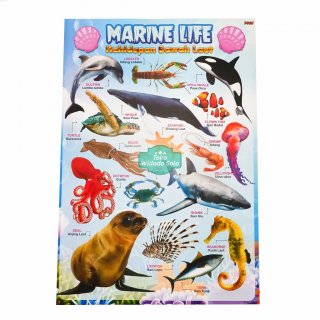 22. Poster Edukasi Kehidupan Bawah Laut