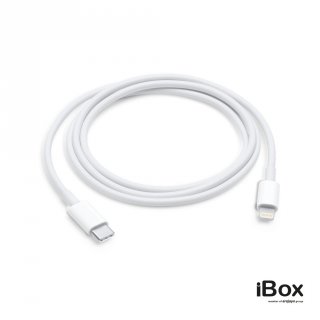 Apple USB to Lightning Cable