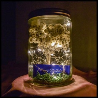 15. Dried Edelweiss dalam Toples Kaca, Simbol Keabadian Perjalanan Kalian