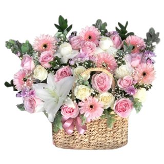 8. Bunga Daisy- Buket Blushy Rose in Basket, Lambang Kemurnian Cinta