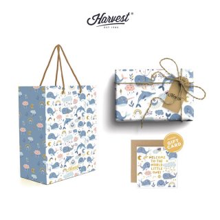Paket Paper Bag, Kertas Kado & Kartu Baby Harvest Wrap Kit 