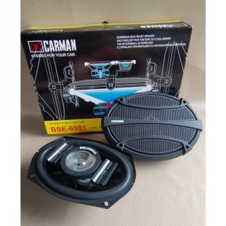 Speaker Carman BSE-6981