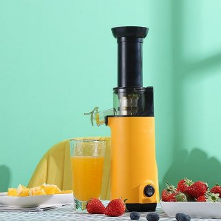 IDEALIFE - Mini Electric Slow Juicer IL-201SJA