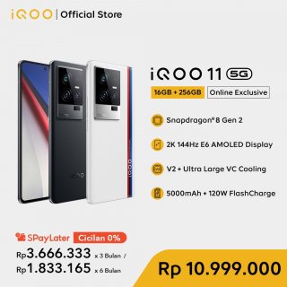 Vivo iQOO 11 (16/256)