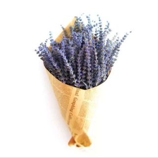 Bunga Kering: Lavender Provence French Blue