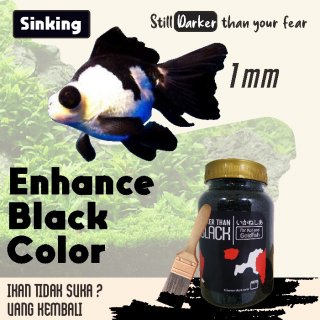 13. Darker Than Black, Corak Hitam Ikan Mas Koki Lebih Pekat