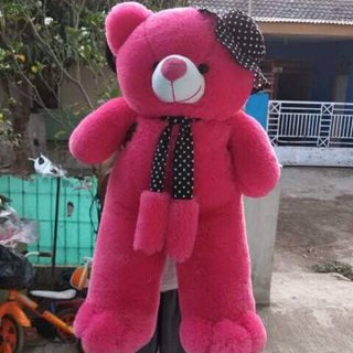 16. Boneka Teddy Bear Pink Syal Topi 1 Meter
