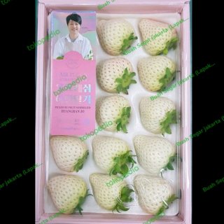 Buah Strawberry White Korea Fresh Import Per 1 Pack