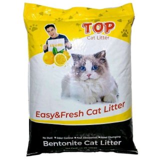 TOP Cat Litter