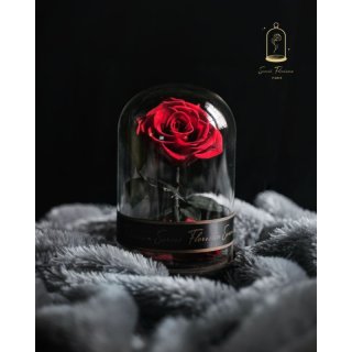 11. Eternal Rose, Bunga Abadi Melambangkan Cinta buat Wanita yang Menyukai Bunga