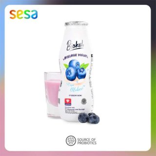 Biokul - Drink Yogurt Blueberry 150 ml