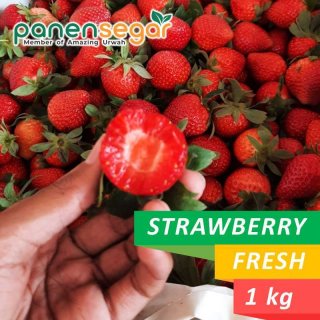 Strawberry Fresh Ciwidey Premium