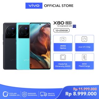 Vivo X80 (12/256)