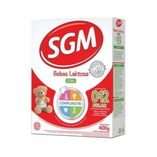 SGM LLM +