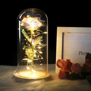 Lampu Tidur LED Bunga Mawar Beauty and The Beast