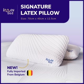 Innovbed Signature Latex Pillow