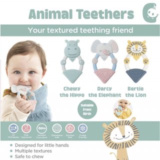 Cheeky Chompers Teether - Gigitan Teething Toy
