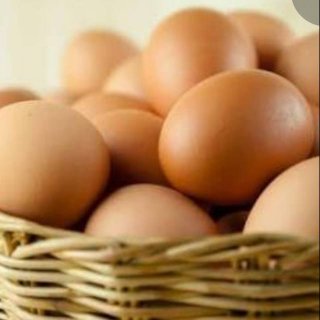 Telur Ayam