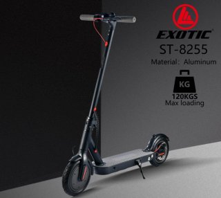 Exotic Scooter Electric ST-8255