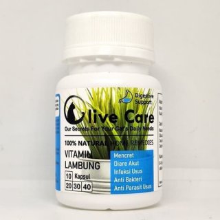 Olive Care Vitamin Lambung