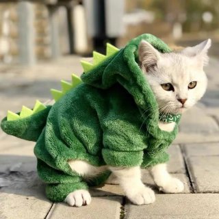 23. Baju Kucing Anjing Model Dinosaurus Kostum, Bisa Menghangatkan Tubuh Kucing