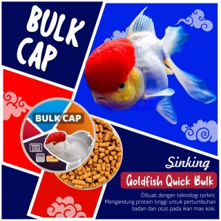 19. Pakan Ikan Bulk Cap Untuk Menumbuhkan Jambul Ikan Mas Koki