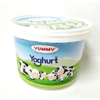 Yummy Plain Yoghurt 500 gram